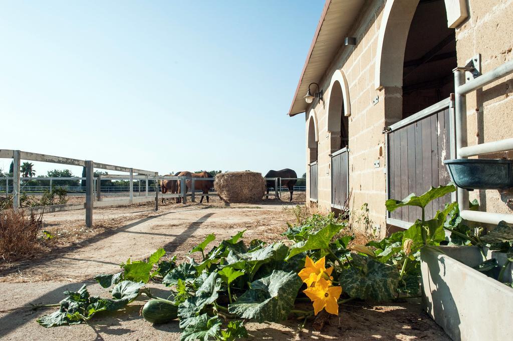 Amaregold Tenuta La Baronessa Resort Tuglie Exterior foto